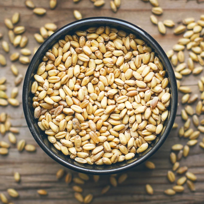 Hopline, dodavatel pro pivovary