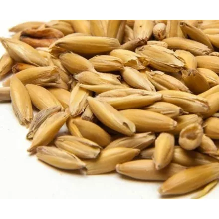 Viking Ovesný slad 10 kg