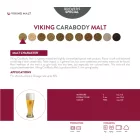 Slad Viking Carabody
