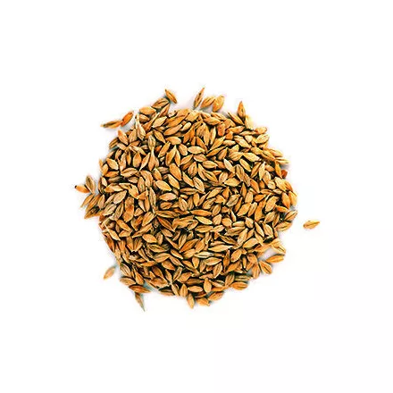 Simpsons dextrinový slad