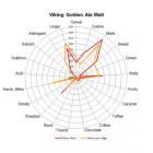 Slad Viking Golden Ale 10 kg