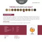 Slad Viking Golden Ale 10 kg