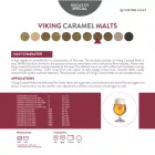 Slad Viking Caramel 100