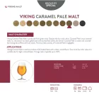 Viking Caramel Pale slad