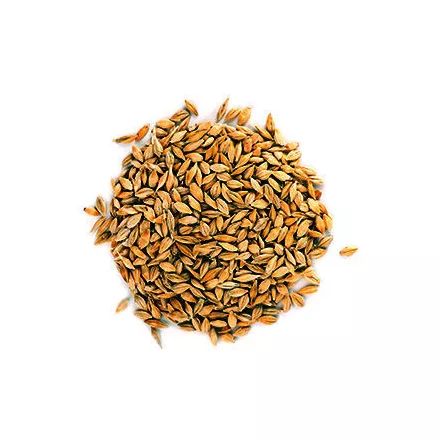 Viking Caramel Pale slad 10 kg