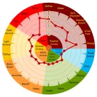 Weyermann Carafa Spec II. 25 kg