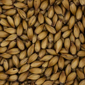 Slad Simpsons Crystal T50