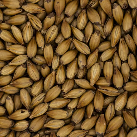 Slad Simpsons Crystal T50