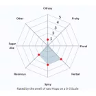 Chmel Challenger 50 g
