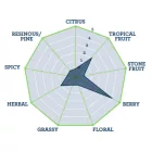 Chmel Nelson Sauvin 30 g