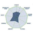 Chmel Northern Brewer 1 kg