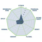 Chmel Pacific Jade 1 kg