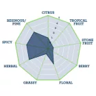 Chmel Tettnanger 30 g