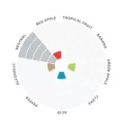 Kvasnice Lallemand Nottingham