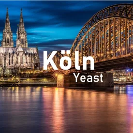 Brewline Köln kvasnice 12 g