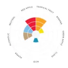 Kvasnice Lallemand Verdant IPA