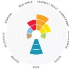 Lallemand Philly Sour