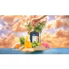 Lallemand Pomona kvasnice