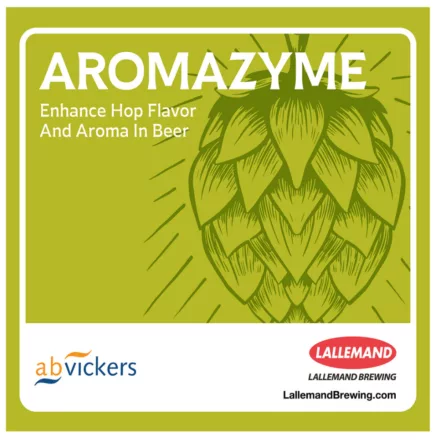Aromazyme enzym 1 g