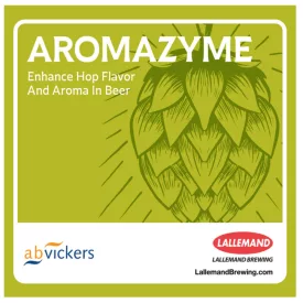 Aromazyme enzym 5 g