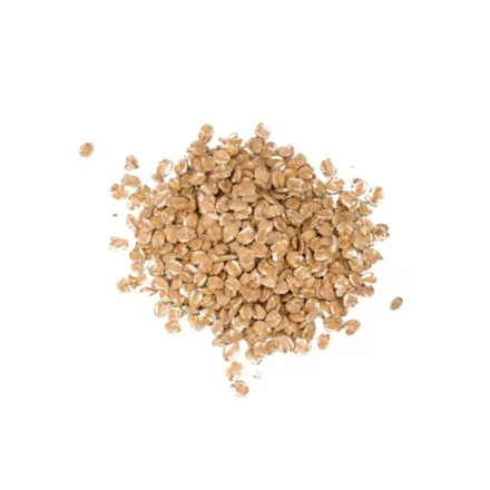 Chit Malt 1 kg