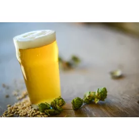 H-00610 Mnichovské světlé / Bavorský ležák - 10 l