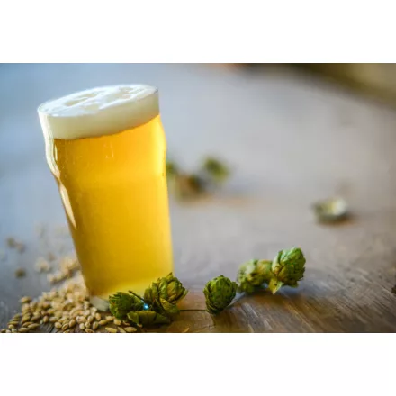 H-00610 Mnichovské světlé / Bavorský ležák - 10 l