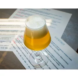 H-01030 Belgické blond / Belgian Blonde 21L