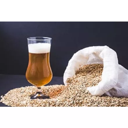 H-01110 Easy IPA 21 l