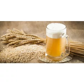 H-01910 Belgické pšeničné / Witbeer 21 l