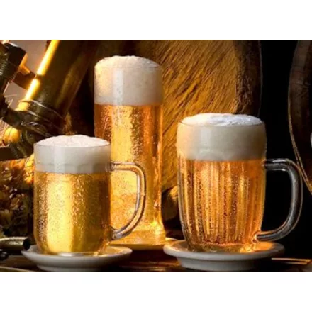 H-02610 České pivo typu Pilsner 21 l