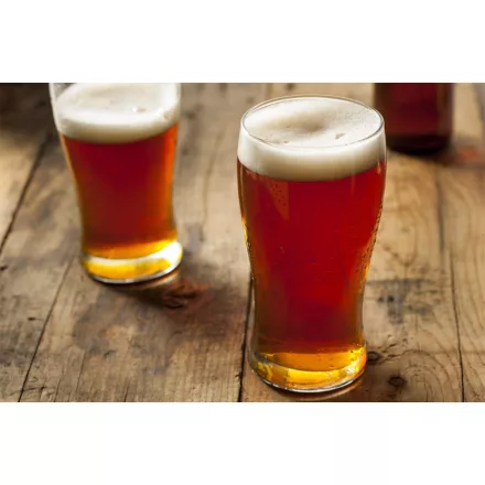 H-06410 Vídeňský ležák - 21 l