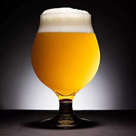H-02750 Table Saison Ale 21 l