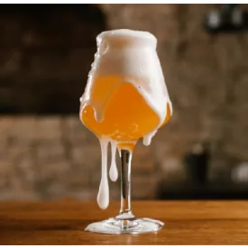 H-03120 Belgický Tripel / Belgian Tripel 21L