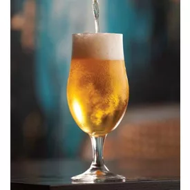 H-03350 Standardní Saison Ale 21 l