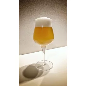 H-03520 RAW NEIPA 21 l