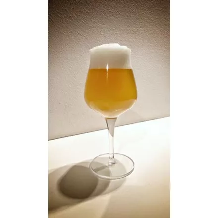 H-03520 RAW NEIPA 21 l