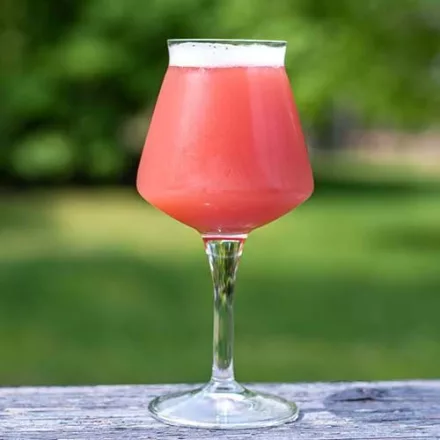 H-03740 Malinové kyselé 21 l – YEASTFLOW