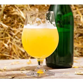 H-03610 Bodzás Kölsch 21L