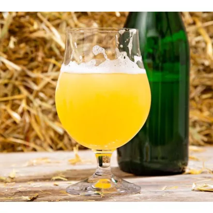 H-03610 Bodzás Kölsch 21L