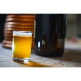 H-04010 Receptura „Washington“ Centennial Smash IPA