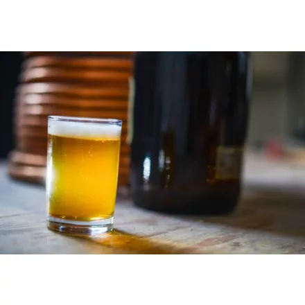 H-04010 Receptura „Washington“ Centennial Smash IPA