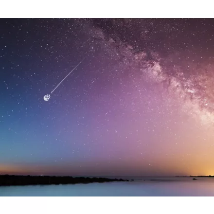 H-04110 „Apollo“ Galaxy SMaSH IPA