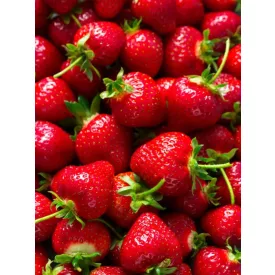 H-04510 „Strawberry“ Strata SMaSH