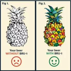 H-04310 „Pineapple“ BRU-1 SMaSH