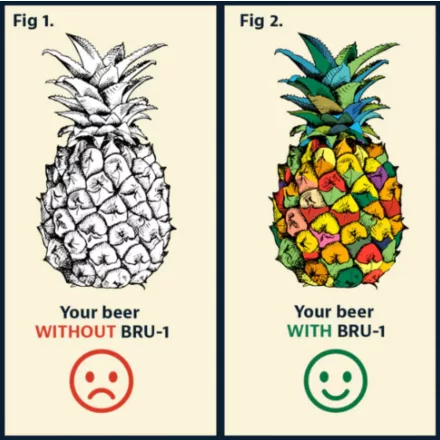 H-04310 „Pineapple“ BRU-1 SMaSH