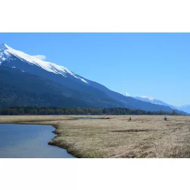 H-04910 „Wishram“ Chinook SMaSH IPA