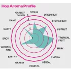 H-05110 „Ambrosia“ Superdelic SMaSH IPA