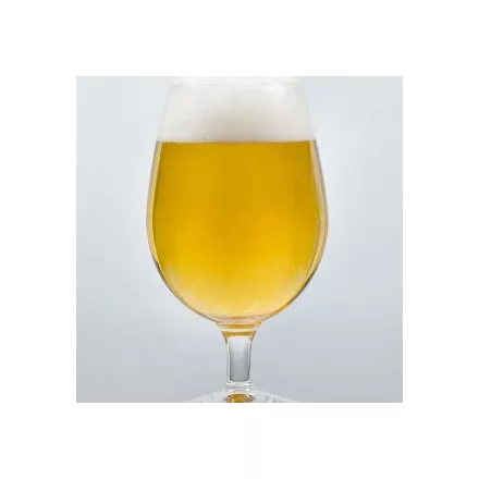 H-05810 „Original“ German Pils / Německé pivo typu Pils – 21 l