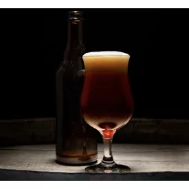 H-05910 Doppelbock / Duplabak - 21 l